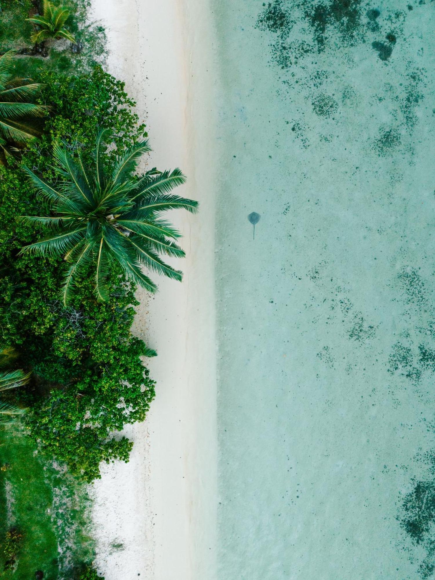 Niu Beach Hotel Moorea Eksteriør bilde